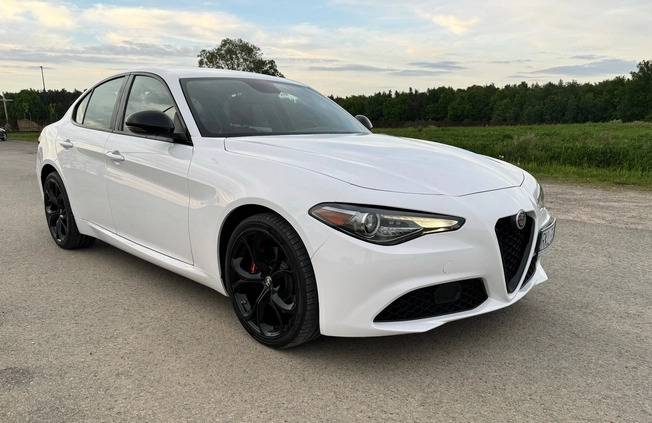 Alfa Romeo Giulia cena 104550 przebieg: 61257, rok produkcji 2019 z Rzeszów małe 211
